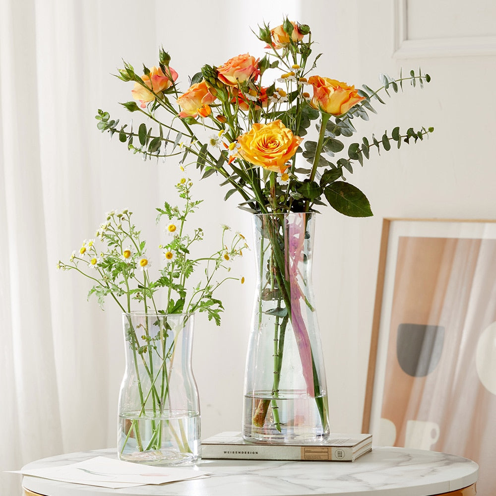 Modern Home Decoration Color Glass Vases Transparent Flower