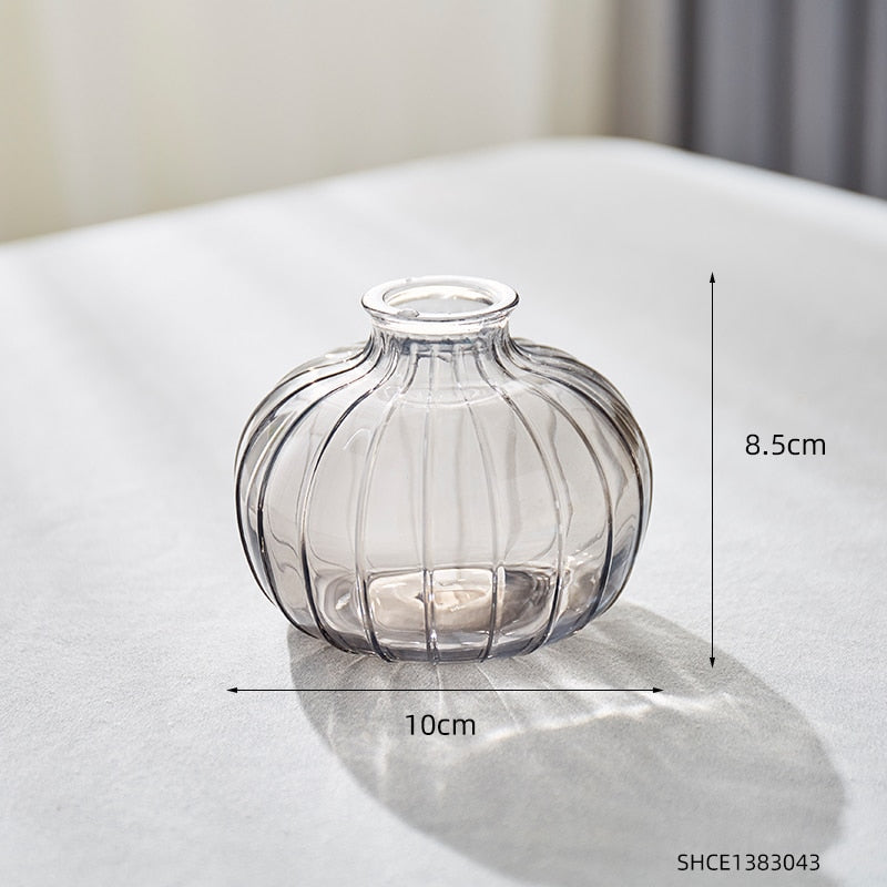 Nordic Clear Glass Vase Modern Home Decoration