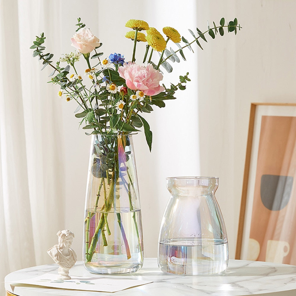 Modern Home Decoration Color Glass Vases Transparent Flower