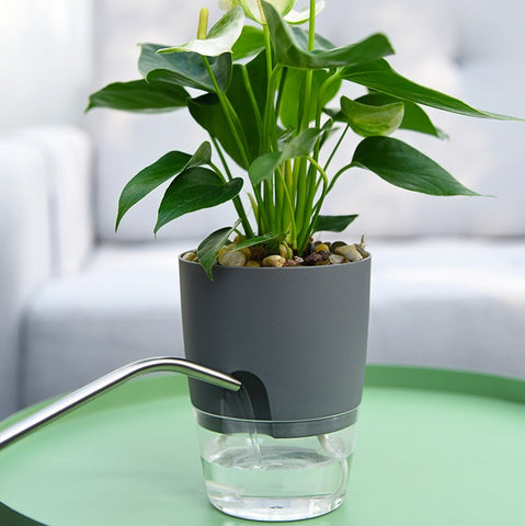 Transparent Double Layer Plastic Flower Pot Self Watering