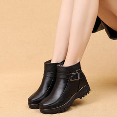Women Ankle Boots Female Thick Plush Warm Snow Boots Waterproof Non-slip